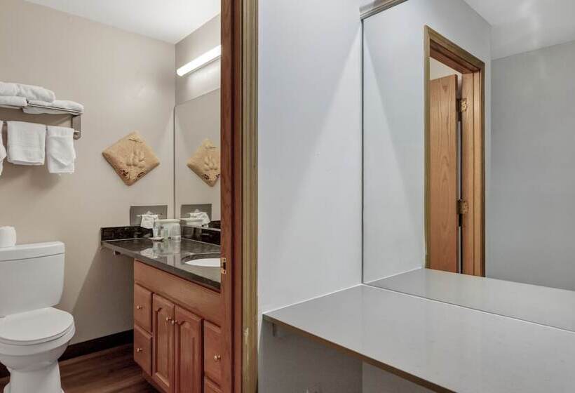 غرفة قياسية سرير مزدوج, Waterbird Lakeside Inn