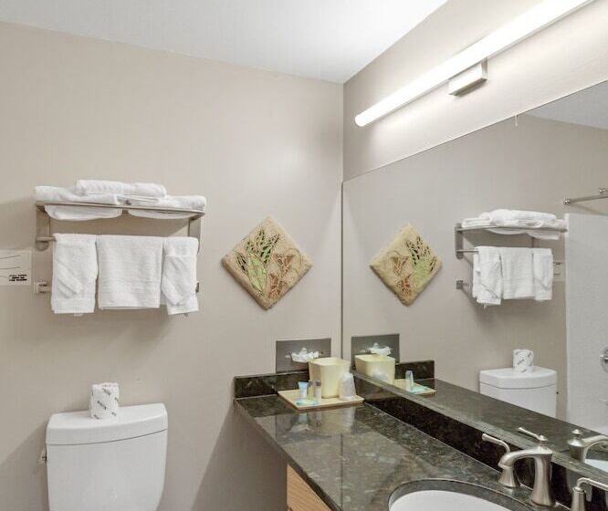 غرفة قياسية سرير مزدوج, Waterbird Lakeside Inn