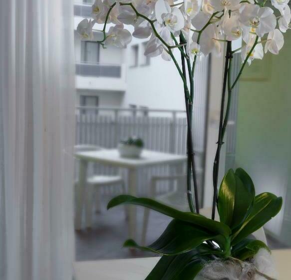 Апартаменты 3 Спальни, Appartamenti Aurora