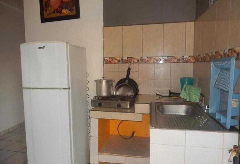 بنجلو قياسى, Lizmar