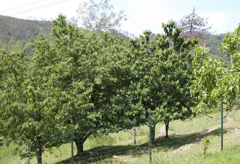 آپارتمان 1 خوابه, Affittacamere Graziella