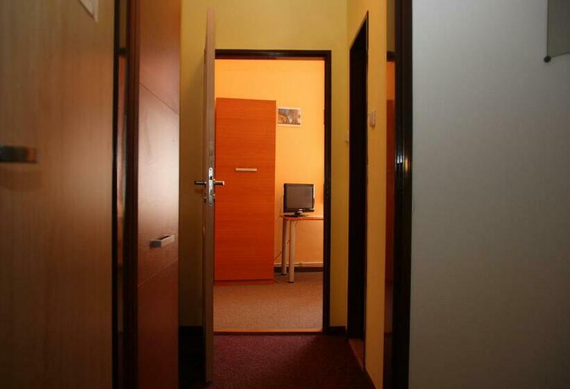 חדר סטנדרט יחיד, Penzion česká Koruna