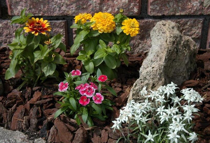 2ベッドルームアパートメント, Residence Weiss