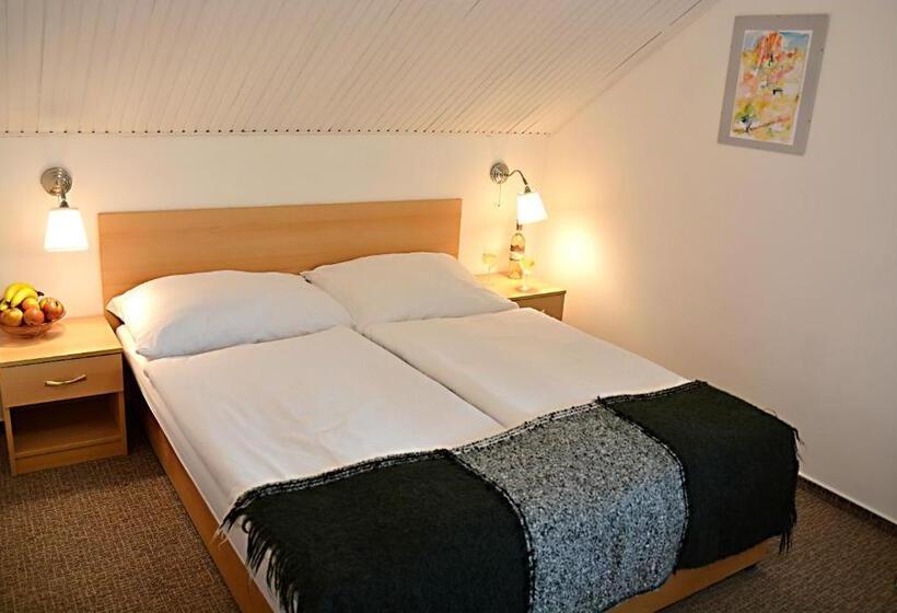 اتاق استاندارد, Wellness Vila Bohemia