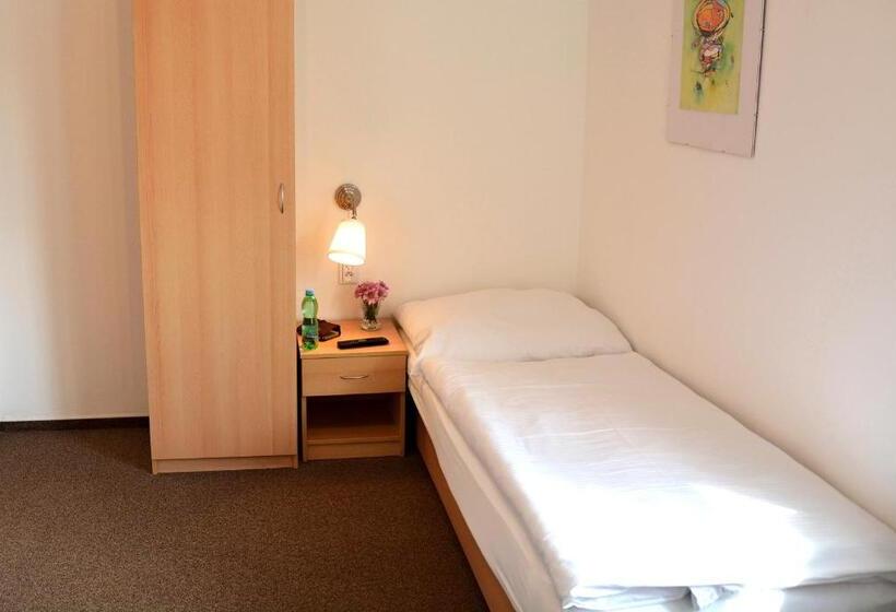 اتاق کلاسیک یک تخته, Wellness Vila Bohemia