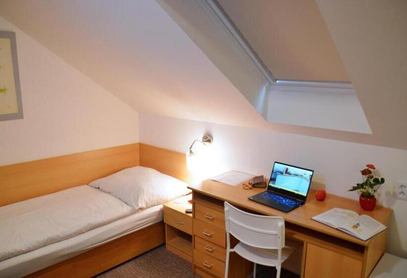 اتاق کلاسیک یک تخته, Wellness Vila Bohemia