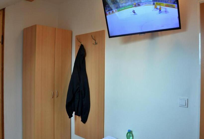 اتاق کلاسیک یک تخته, Wellness Vila Bohemia