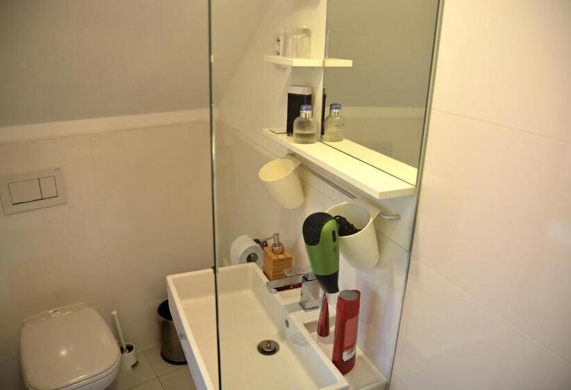 اتاق کلاسیک یک تخته, Wellness Vila Bohemia