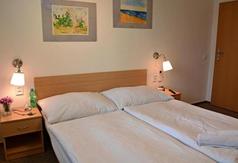 اتاق استاندارد با چشم‌انداز باغ, Wellness Vila Bohemia