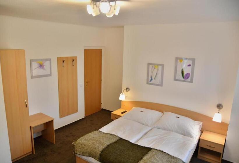 اتاق خانوادگی, Wellness Vila Bohemia