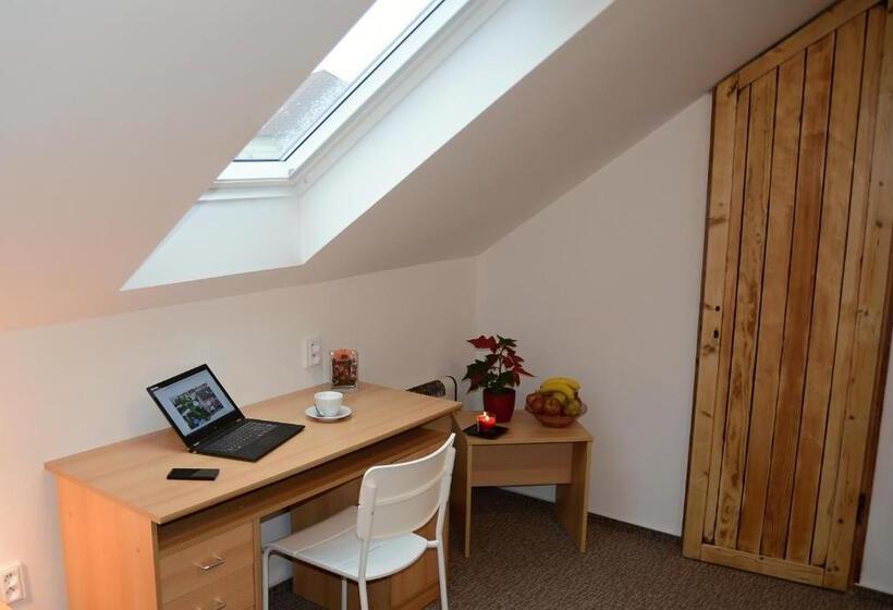 اتاق کلاسیک یک تخته, Wellness Vila Bohemia