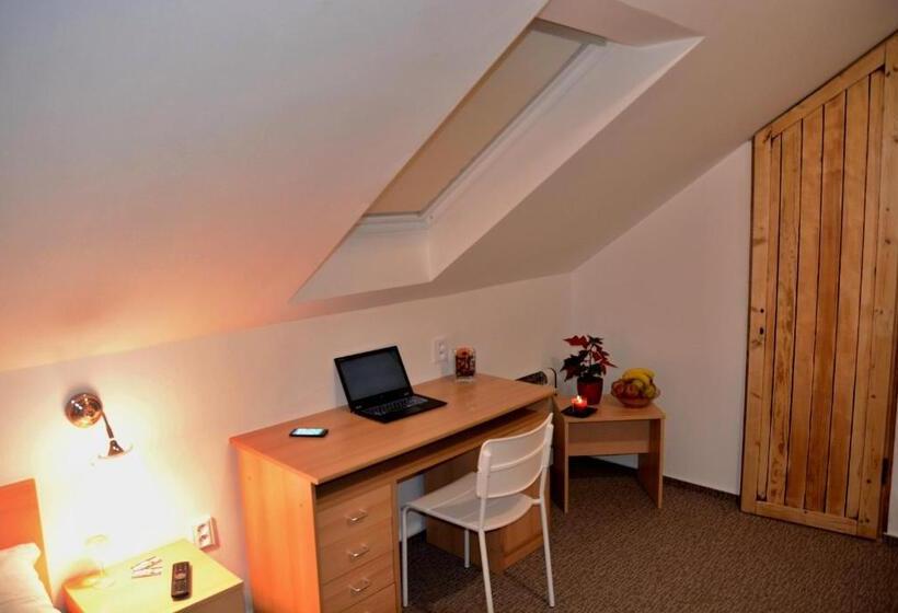 اتاق کلاسیک یک تخته, Wellness Vila Bohemia