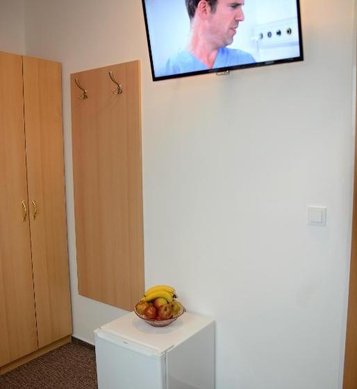 اتاق کلاسیک یک تخته, Wellness Vila Bohemia