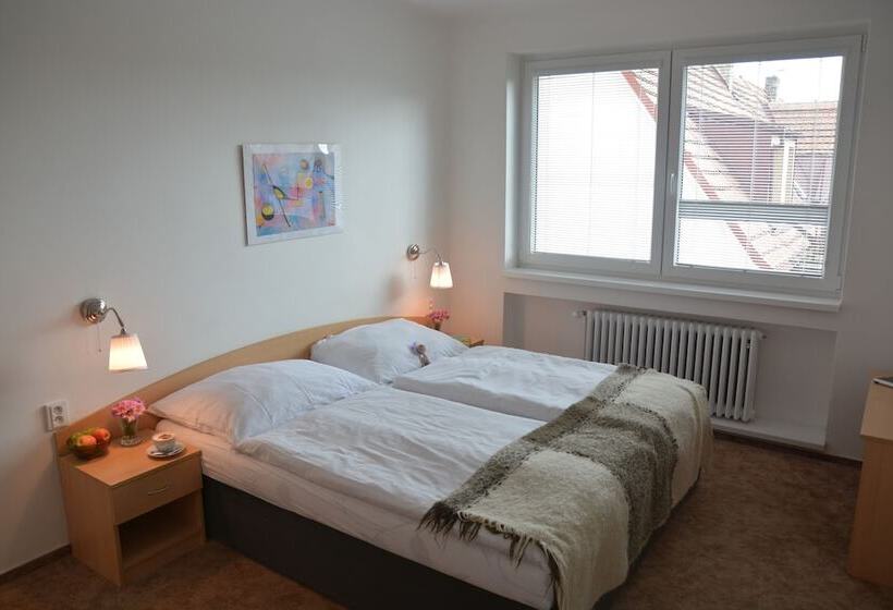 اتاق استاندارد, Wellness Vila Bohemia