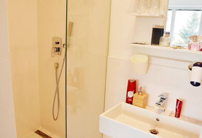 اتاق استاندارد سه نفره, Wellness Vila Bohemia