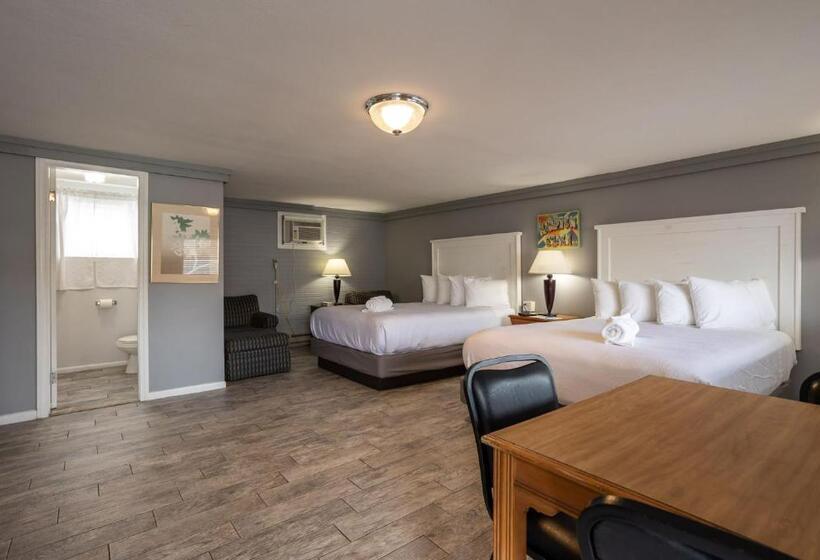 غرفة ديلوكس, The Janmere Motel