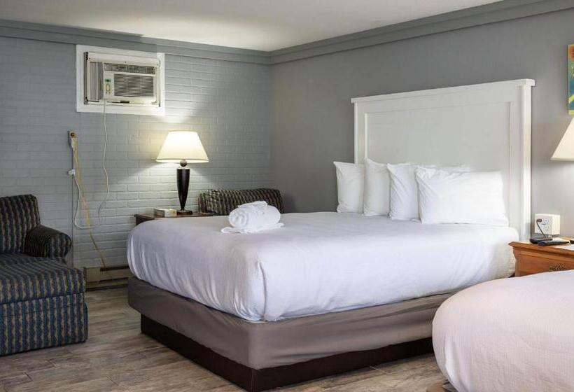 غرفة ديلوكس, The Janmere Motel