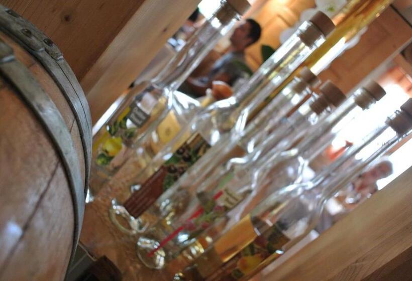 标准间带露台, Ustria / Pensiun Trutg