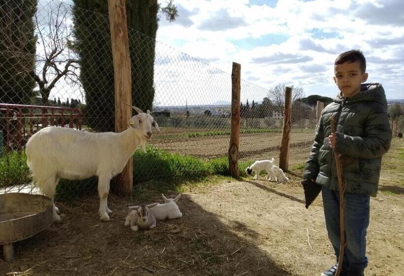 침실 1개 아파트, Agriturismo Fattoria Podere Peciano