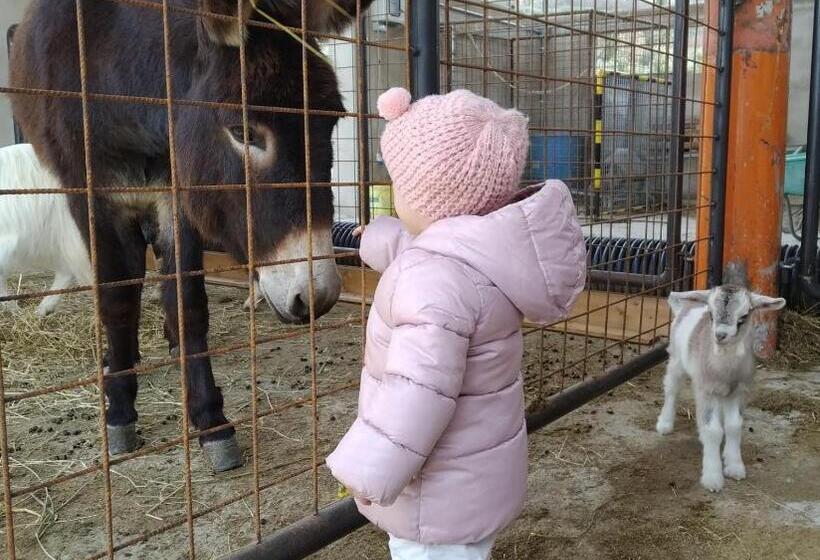 침실 1개 아파트, Agriturismo Fattoria Podere Peciano