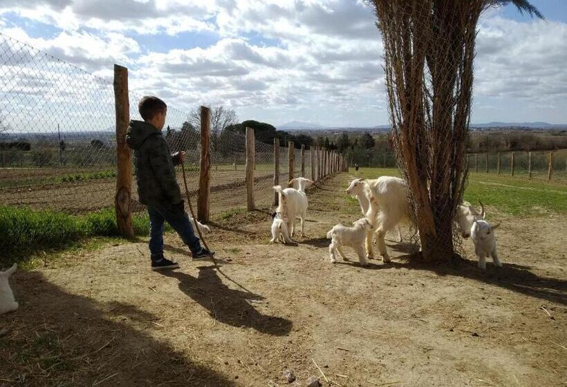 침실 1개 아파트, Agriturismo Fattoria Podere Peciano