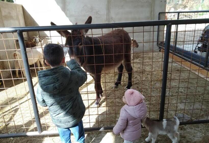 침실 1개 아파트, Agriturismo Fattoria Podere Peciano