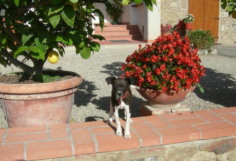 4인용 스탠다드 룸, Agriturismo Fattoria Podere Peciano
