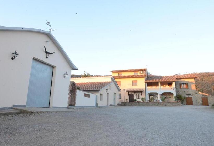 침실 1개 아파트, Agriturismo Fattoria Podere Peciano