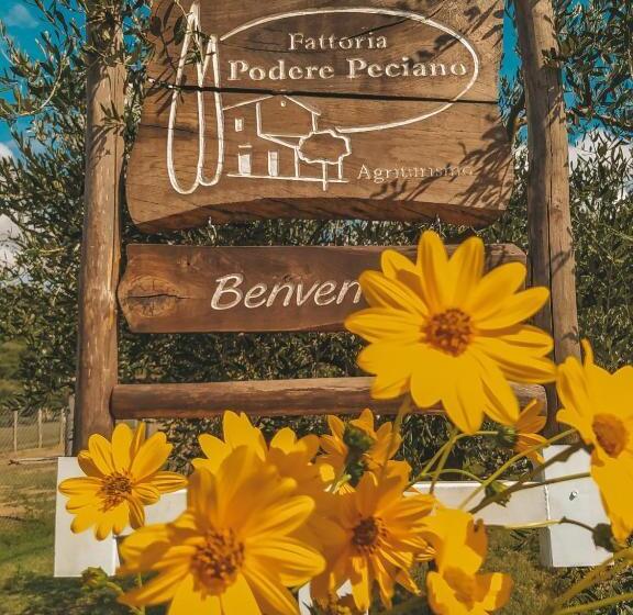 침실 1개 아파트, Agriturismo Fattoria Podere Peciano