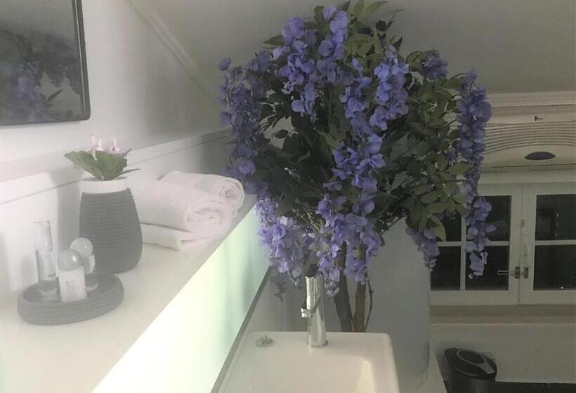 דירת שני חדרים, O Pátio