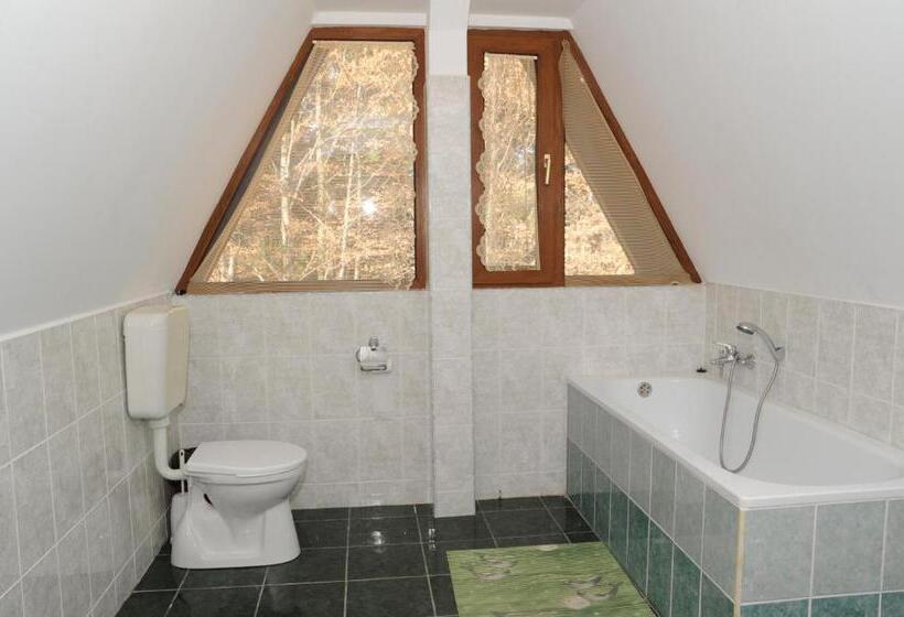 חדר סופריור, Pensiunea Eliza