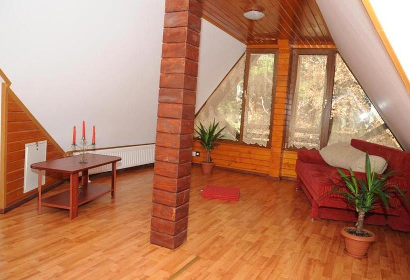 חדר סופריור, Pensiunea Eliza