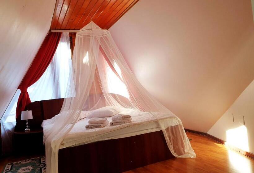 חדר סופריור, Pensiunea Eliza