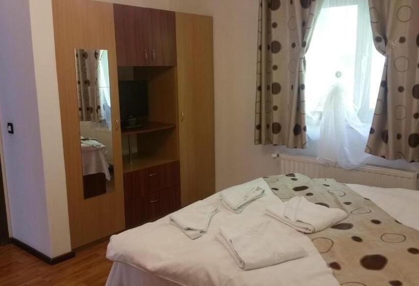 דירת חדר, Pensiunea Eliza