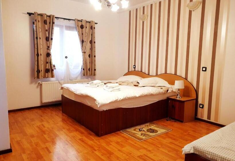 דירת חדר, Pensiunea Eliza