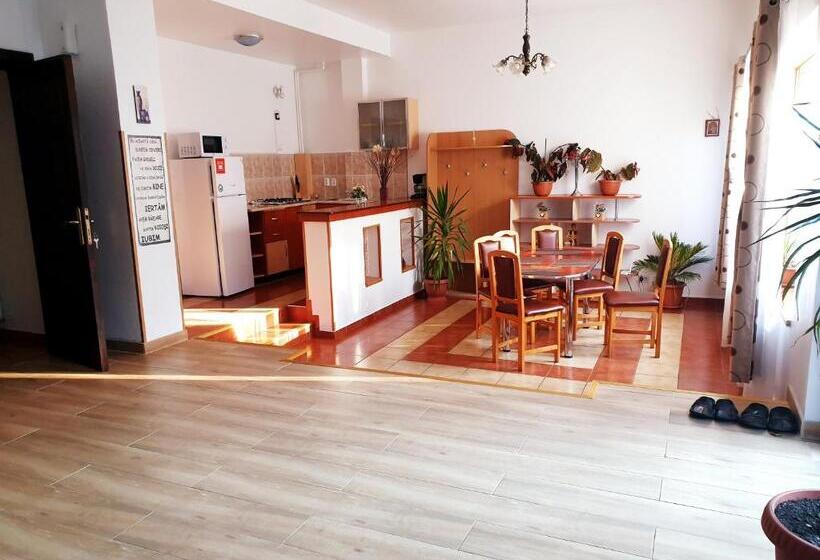 דירת חדר, Pensiunea Eliza