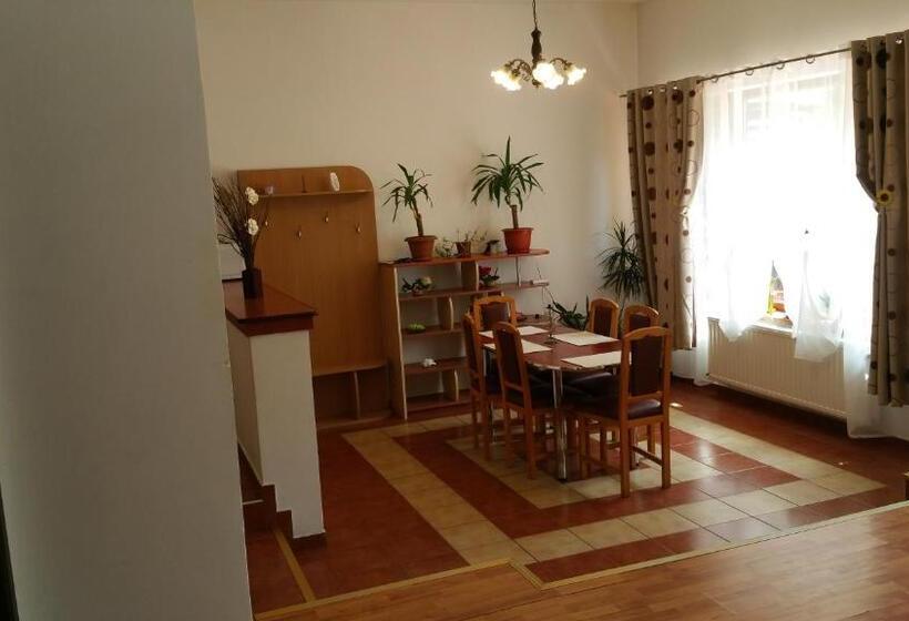 דירת חדר, Pensiunea Eliza