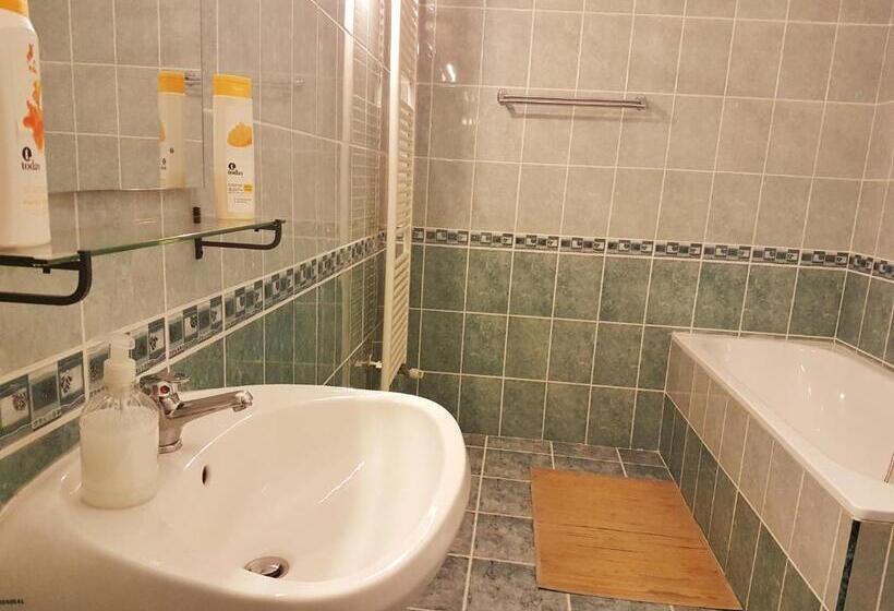 דירת שני חדרים, Pensiunea Eliza