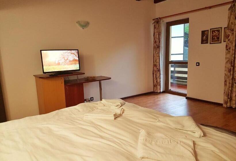 דירת שני חדרים, Pensiunea Eliza