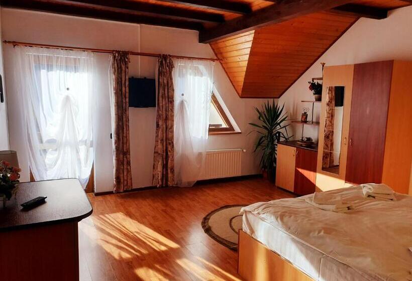 דירת שני חדרים, Pensiunea Eliza