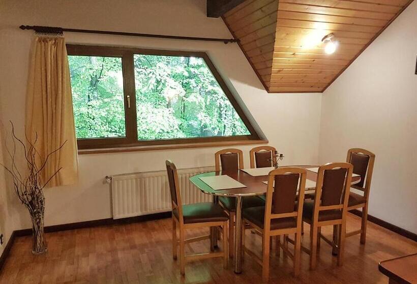 דירת שני חדרים, Pensiunea Eliza