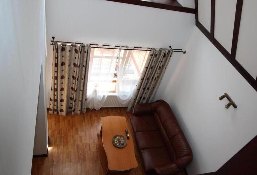 דירת דופלקס בת חדר שינה 1, Pensiunea Eliza