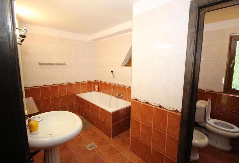 דירת דופלקס בת חדר שינה 1, Pensiunea Eliza