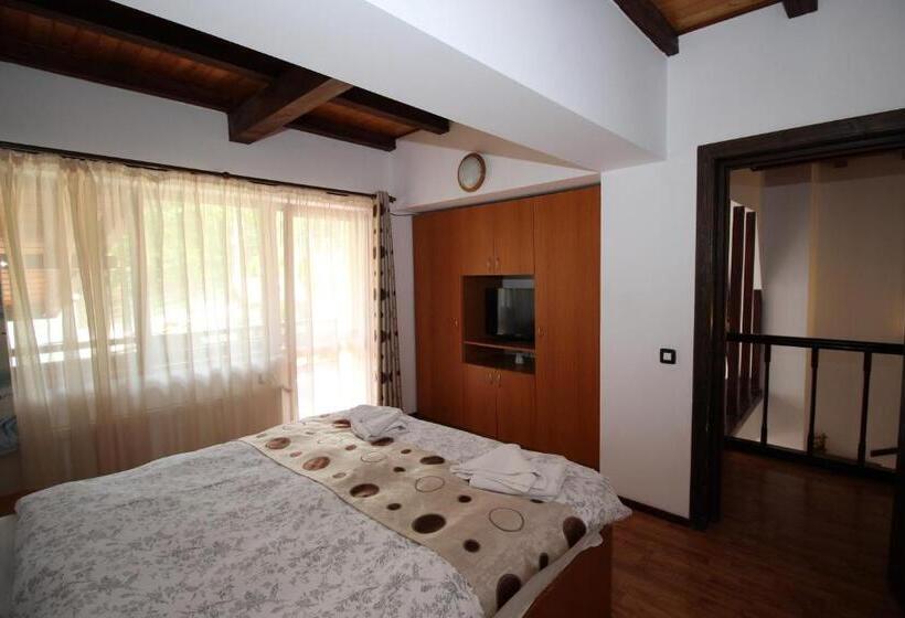 דירת דופלקס בת חדר שינה 1, Pensiunea Eliza