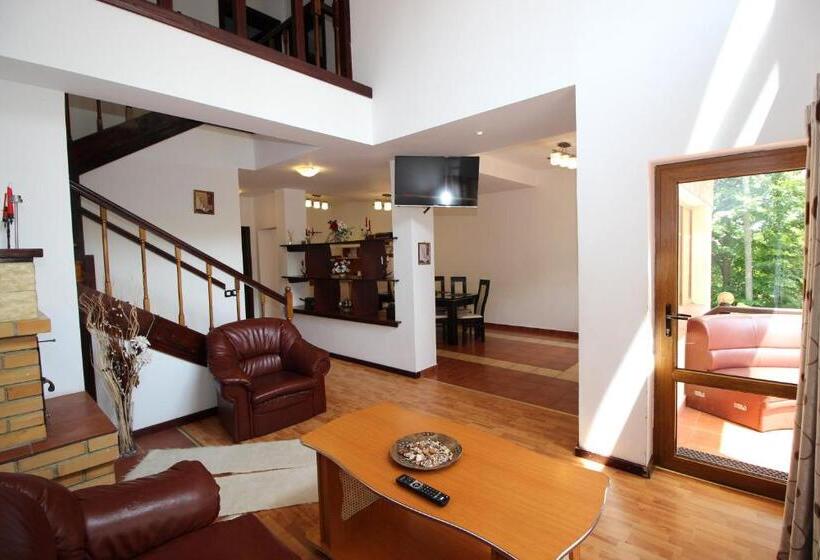 דירת דופלקס בת חדר שינה 1, Pensiunea Eliza