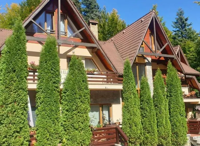 Villa 5 Makuuhuonetta, Pensiunea Eliza