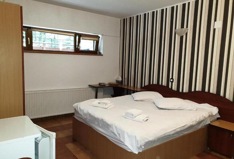 וילה בת 5 חדרים, Pensiunea Eliza