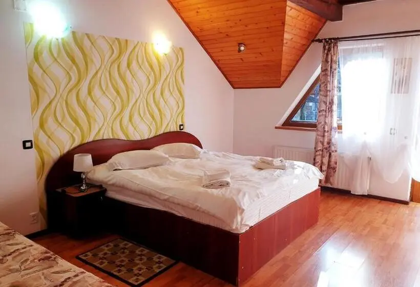 Villa 5 Makuuhuonetta, Pensiunea Eliza