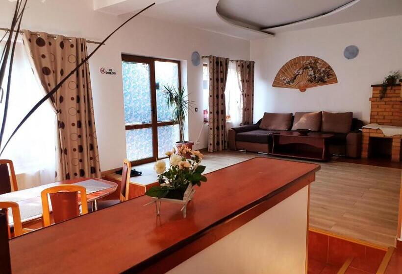 דירת חדר, Pensiunea Eliza