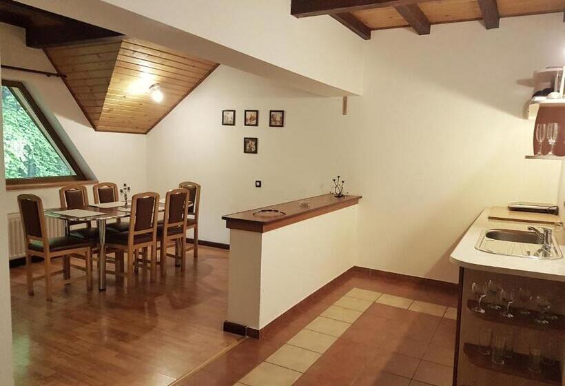 דירת שני חדרים, Pensiunea Eliza